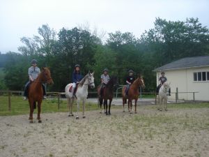 Clases de equitaci�n